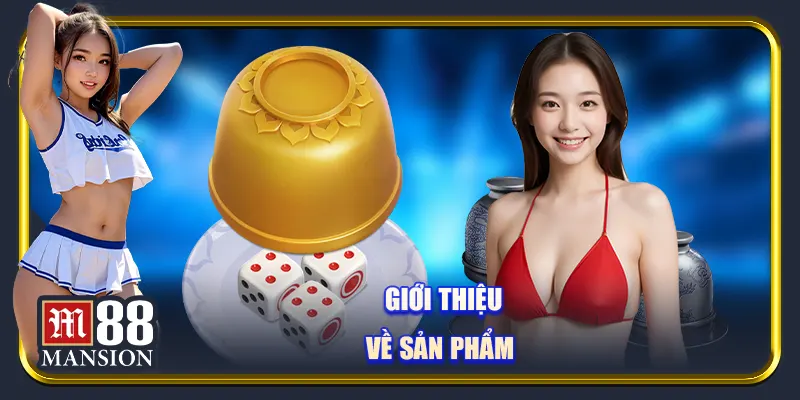Giới thiệu về sản phẩm