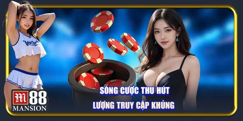 Sòng cược xóc dĩa thu hút lượng truy cập khủng